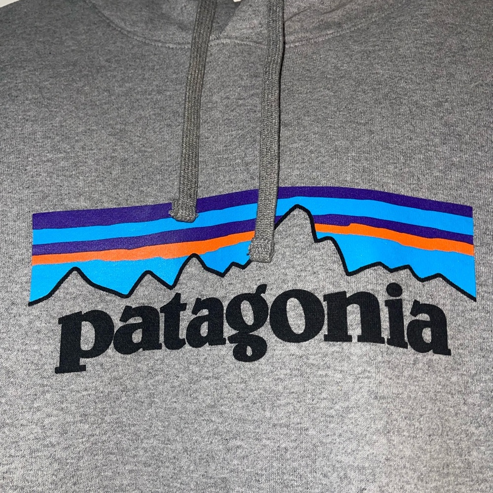 Patagonia grey hoodie - Picture 3 of 6